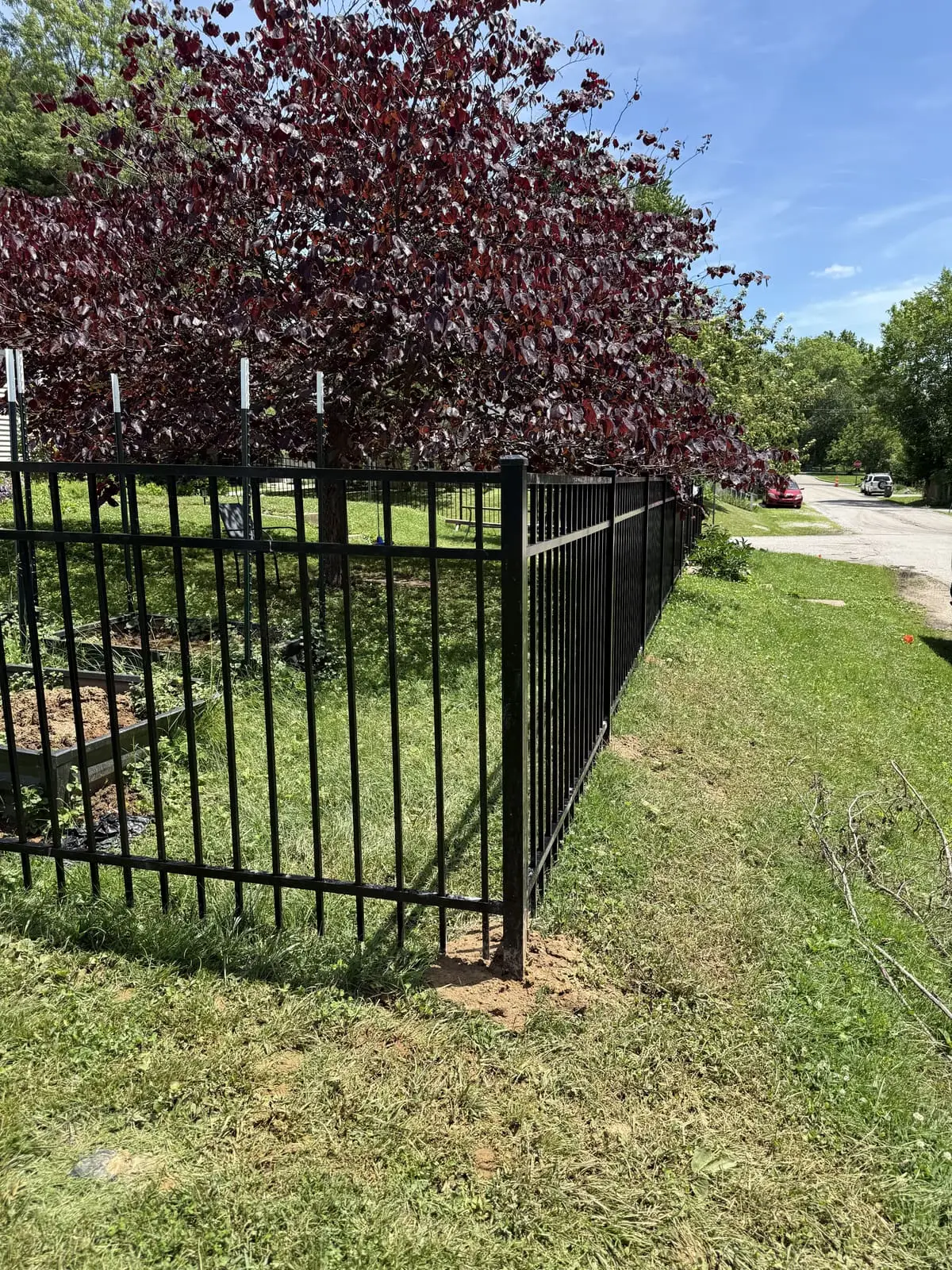 Black aluminum fence around a garden with redbud tree in Bloomington, IN