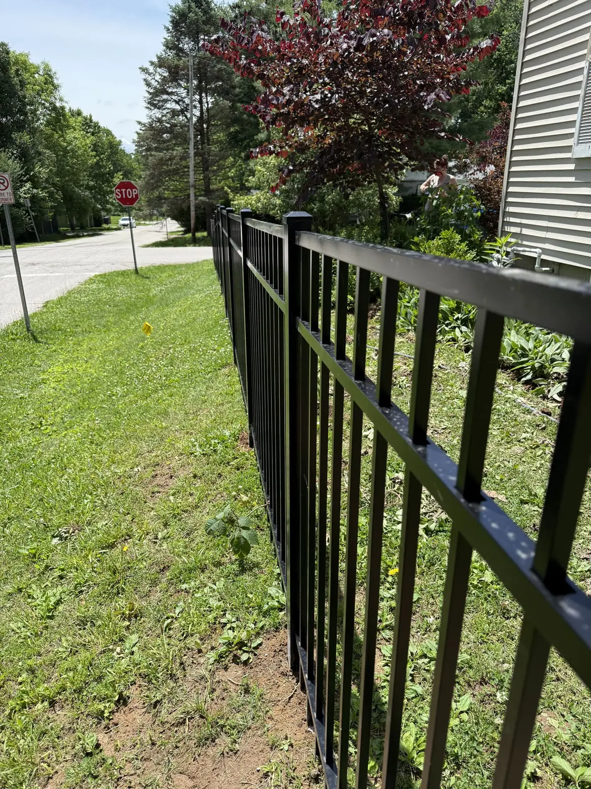 Black aluminum fence running along a street-side yard in Bloomington, IN
