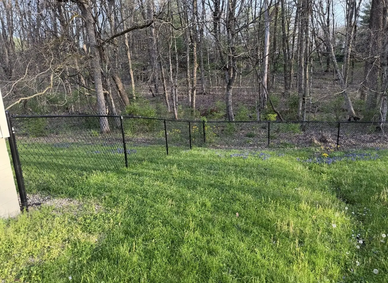 Black chain link fence along a wooded backyard in Bloomington, IN