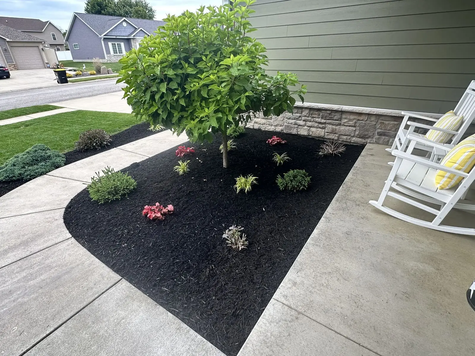 Black mulch bed around a tree by a front porch in Bloomington, IN