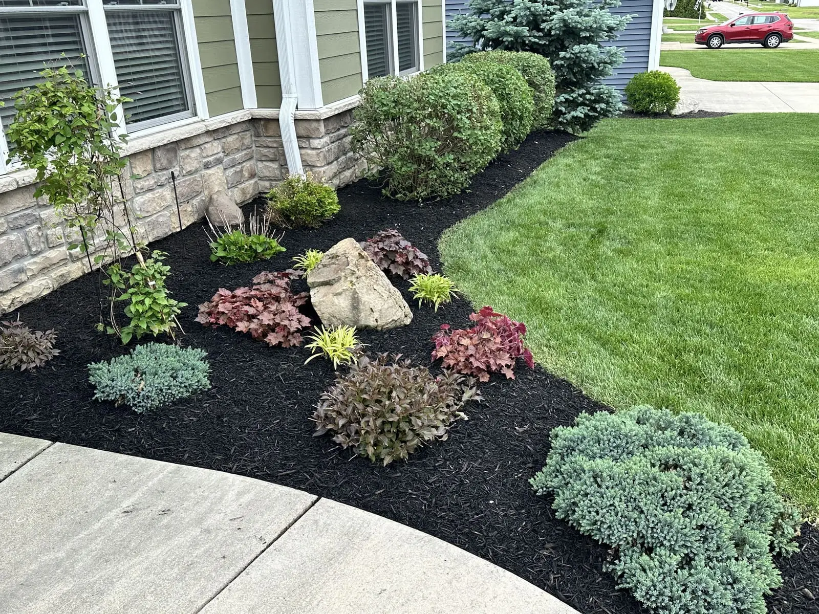 Black mulch landscaping bed with boulder and shrubs in Bloomington, IN