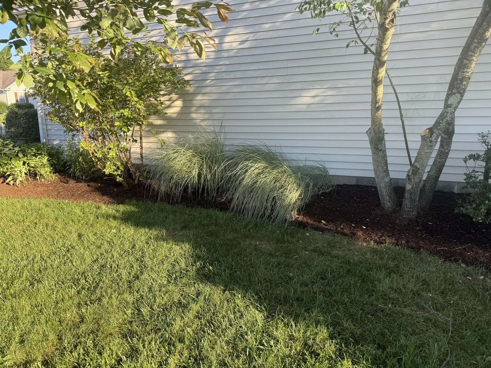 Fresh mulch landscaping with ornamental grasses in Bloomington, IN