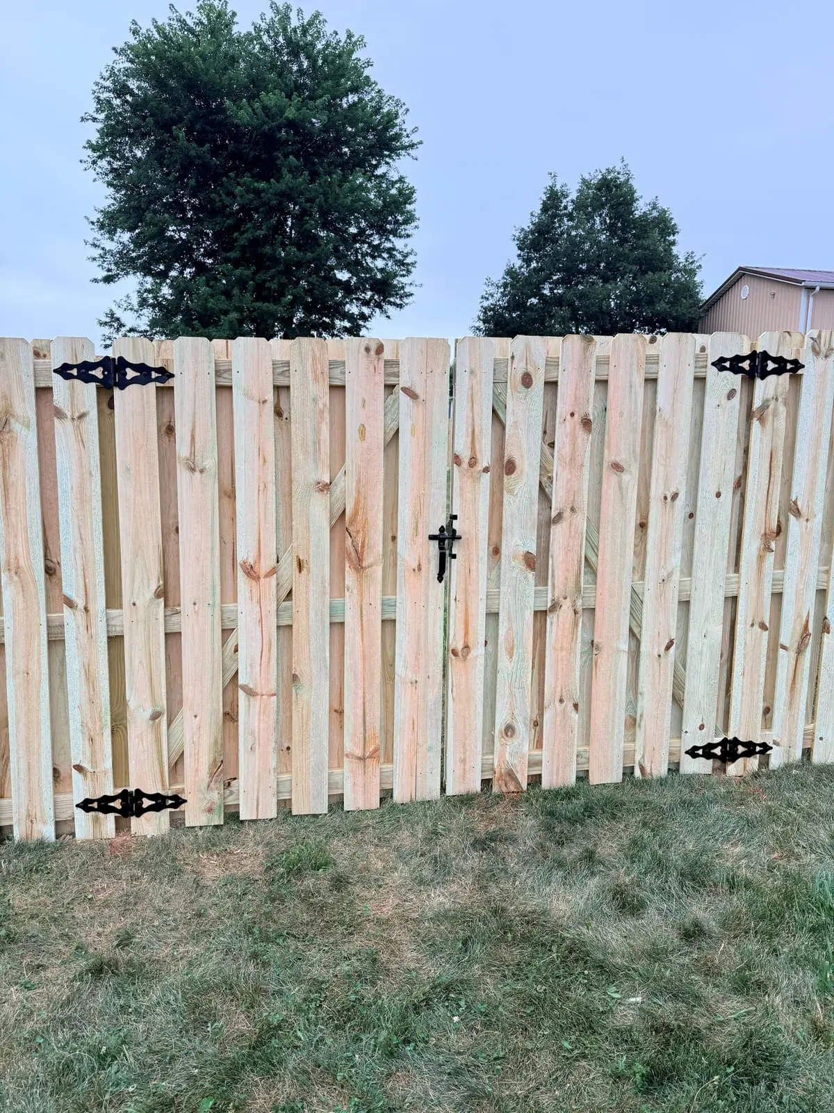 Shadowbox wood fence double gate with black hinges and latch in Bloomington, IN