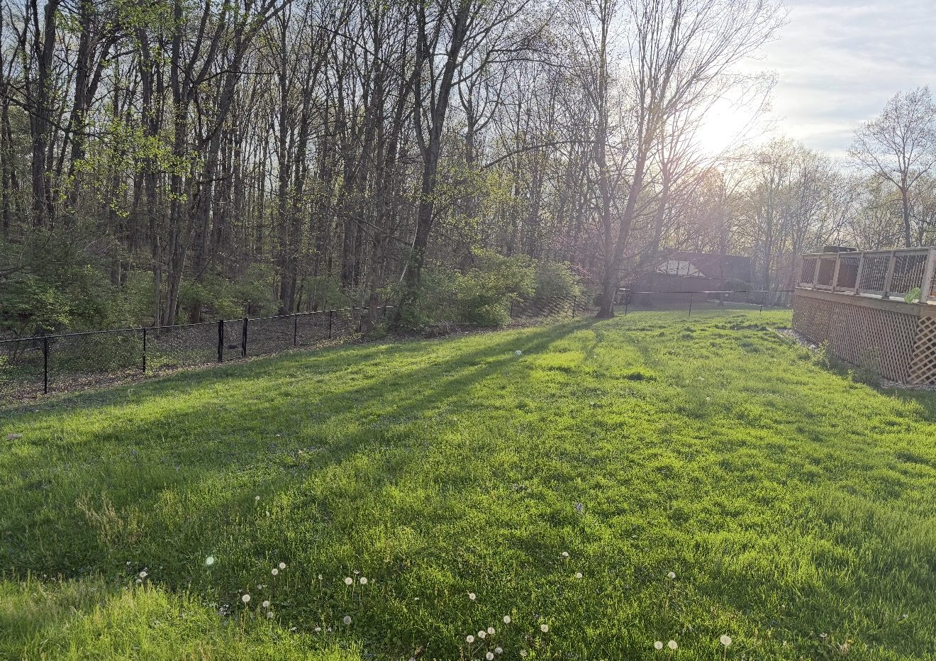 Black metal fence line enclosing a spacious backyard in Bloomington, IN