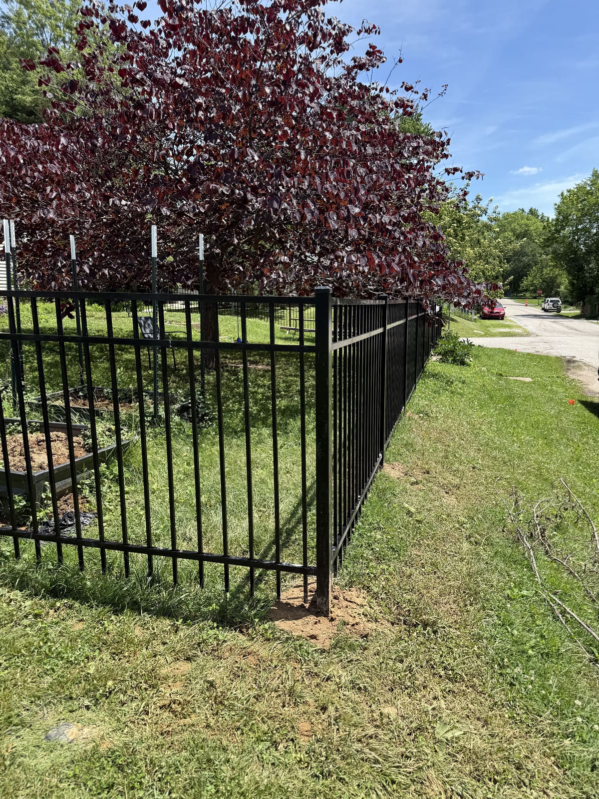 Black aluminum fence around a garden with redbud tree in Bloomington, IN