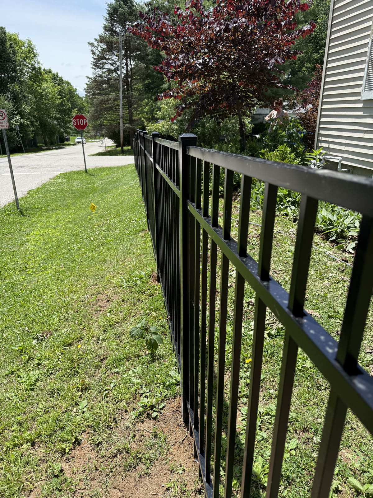 Black aluminum fence running along a street-side yard in Bloomington, IN