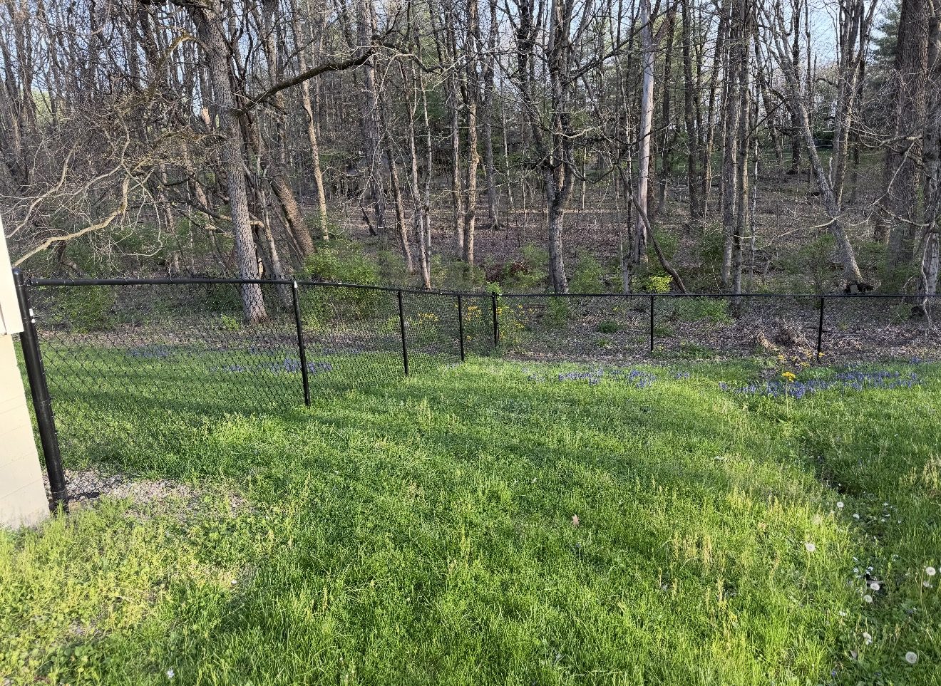 Black chain link fence along a wooded backyard in Bloomington, IN