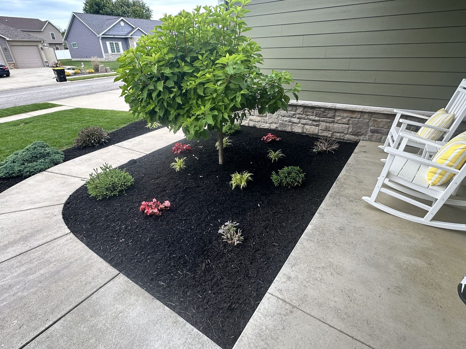 Black mulch bed around a tree by a front porch in Bloomington, IN