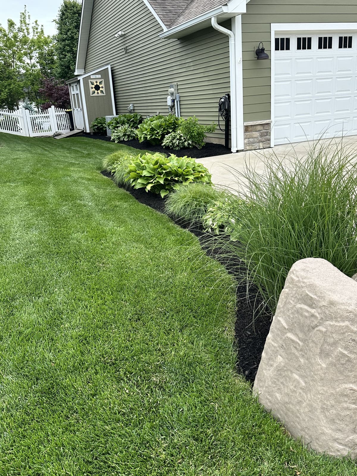 Freshly edged black mulch beds with hostas and ornamental grasses in Bloomington, IN
