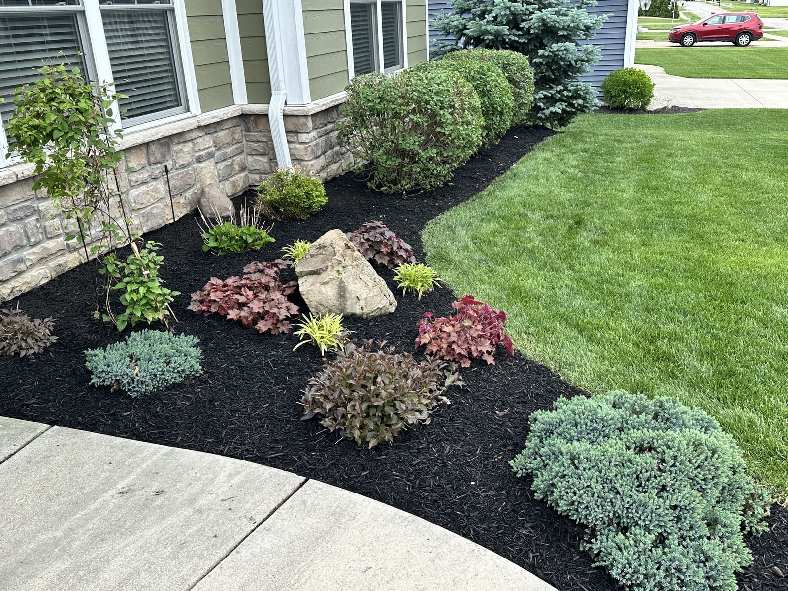 Black mulch landscaping bed with boulder and shrubs in Bloomington, IN