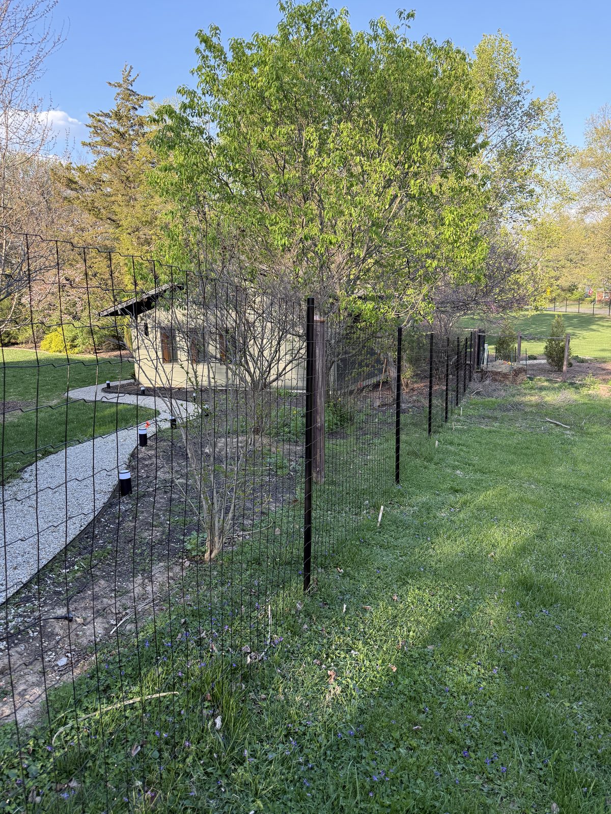 Black welded wire metal fence along a garden path in Bloomington, IN