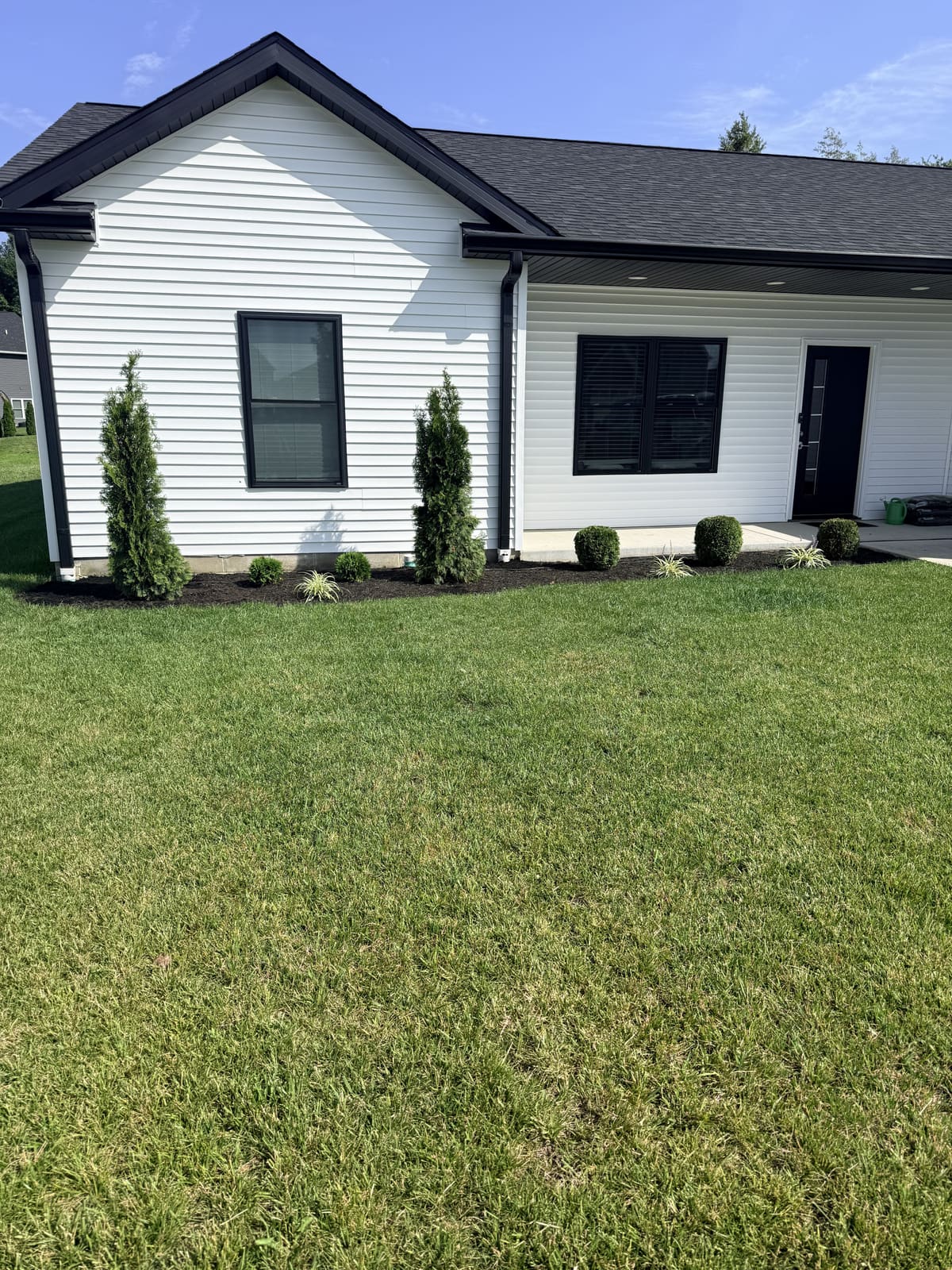 Front yard landscaping with arborvitae at a new home in Bloomington, IN