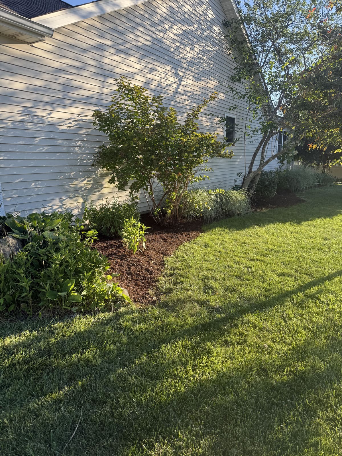 Mulch bed with shrubs and ornamental grasses along a home in Bloomington, IN