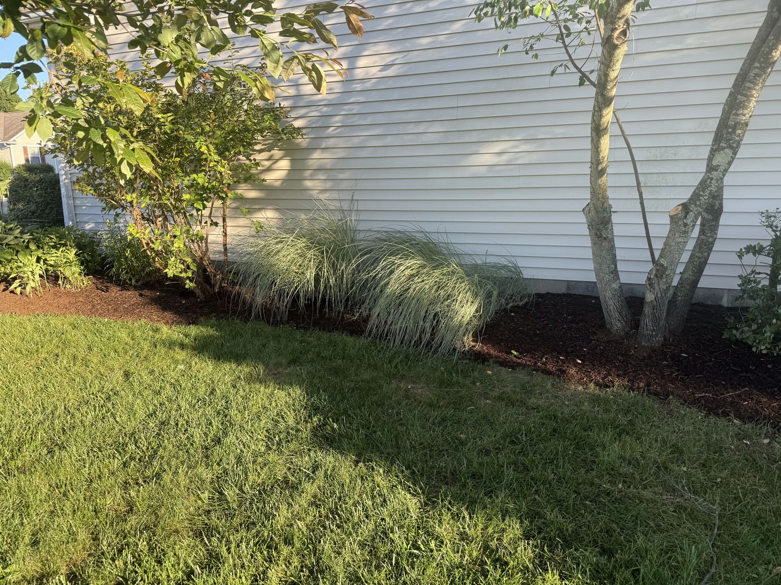 Fresh mulch landscaping with ornamental grasses in Bloomington, IN