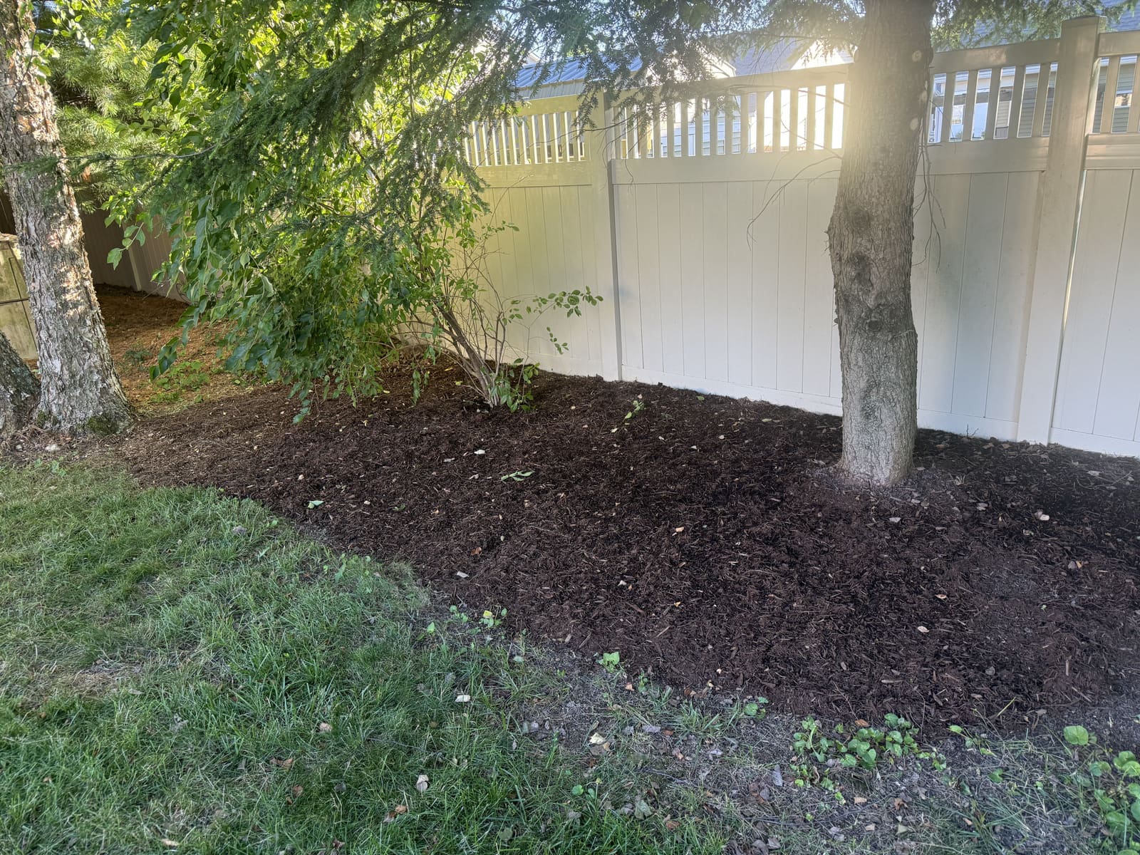 Mulched tree bed along a white vinyl fence in Bloomington, IN